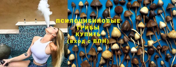 apvp Алексеевка