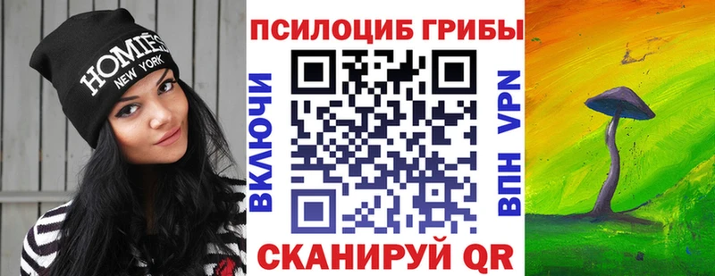 Галлюциногенные грибы Psilocybe  Анива 